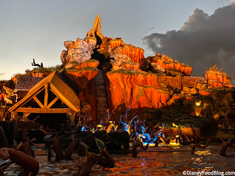 WDW-2020-Magic-Kingdom-Splash-Mountain-fall-briar-patch-night-2.jpg