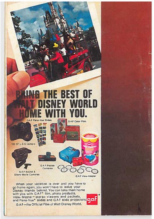 WDW Guide Back Cover.JPG