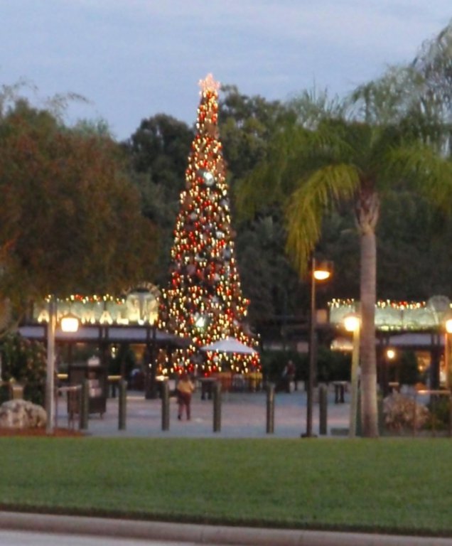 WDW November 2011 023.JPG