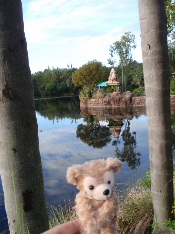 WDW November 2011 039.JPG