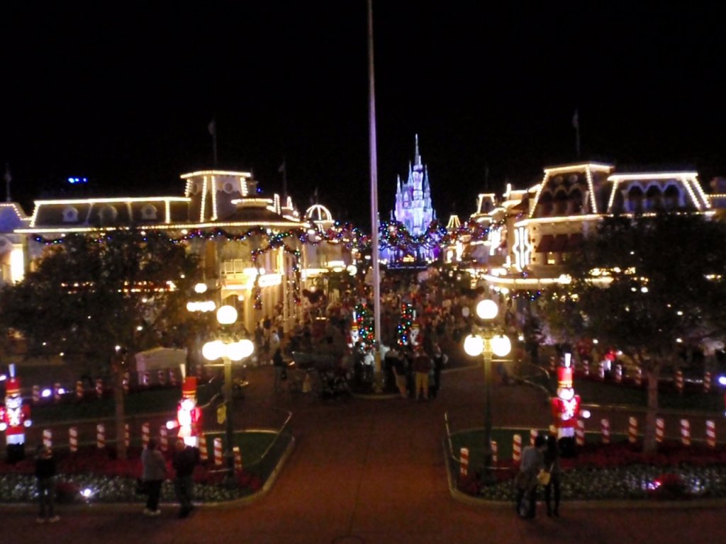 WDW November 2011 1239.JPG