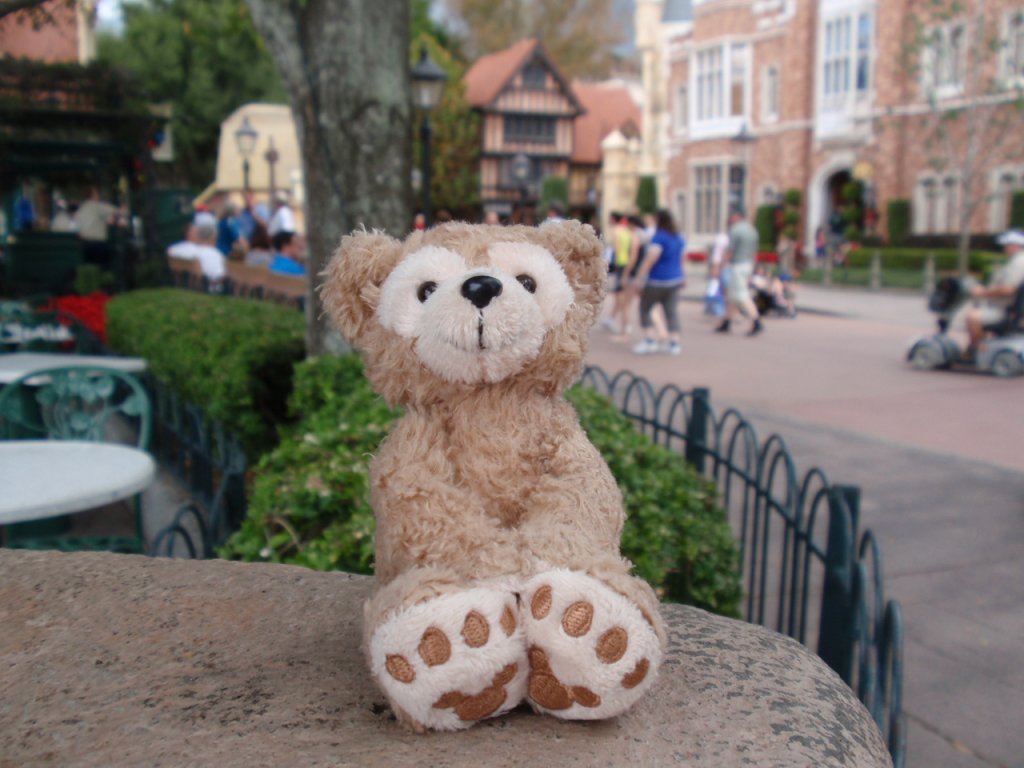 WDW November 2011 1281.JPG