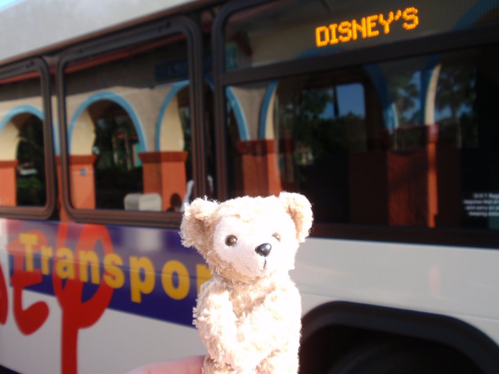 WDW November 2011 357.JPG