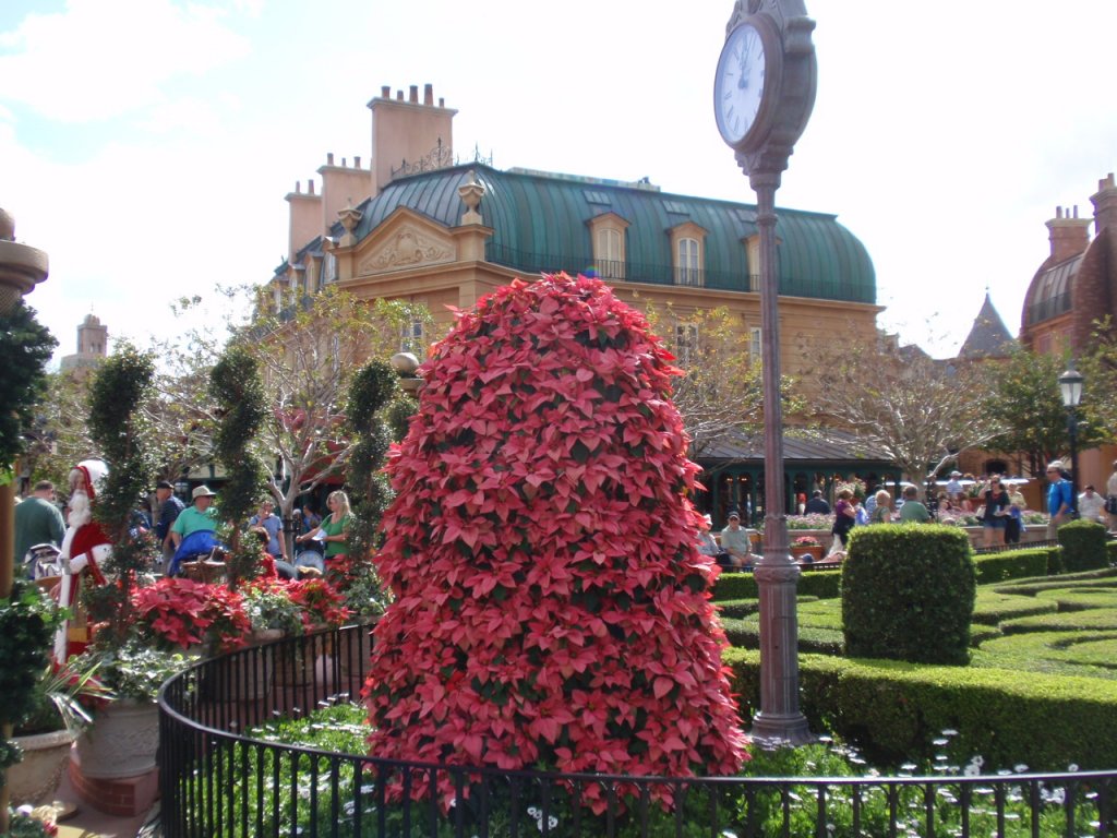 WDW November 2011 496.JPG