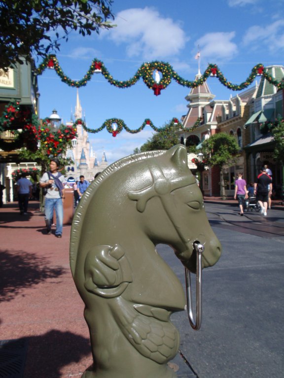 WDW November 2011 934.JPG