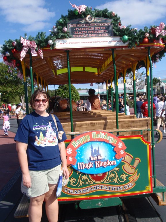 WDW November 2011 941.JPG