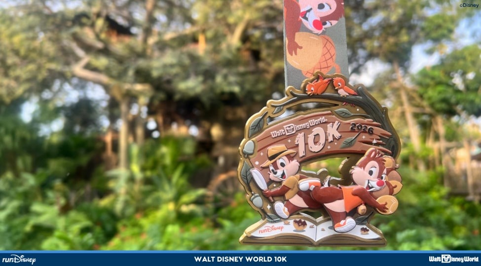 wdw10kblog.jpg
