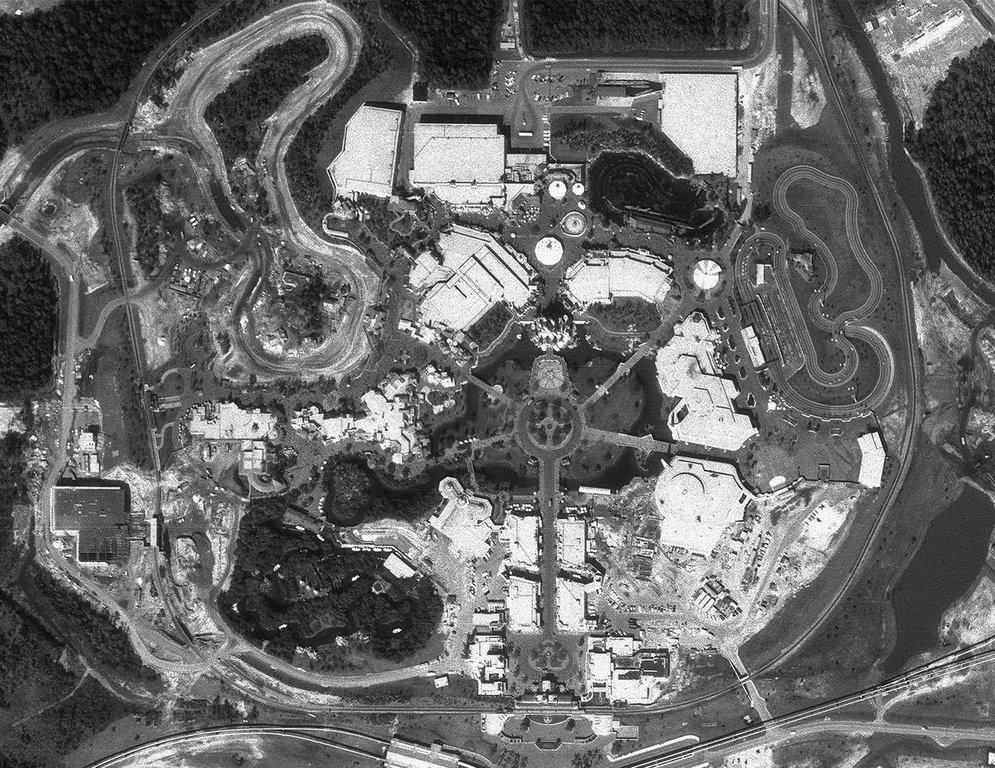 WDW1973crop.jpg