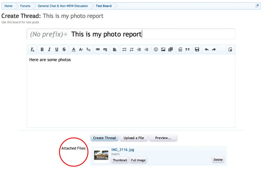 wdwmagic_forum_howtoattachimages2.jpg