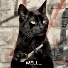 well cat nails.gif