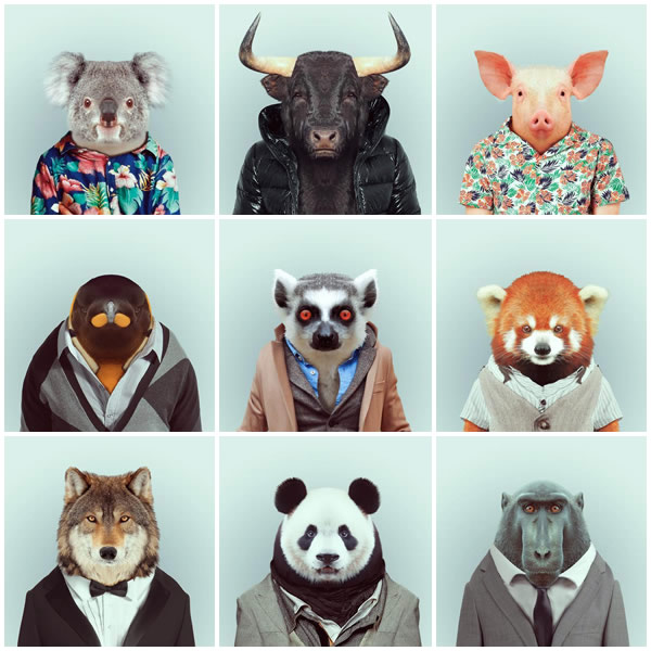 zoo_portraits.jpg