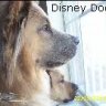 Disneydogs