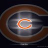 DaBears81