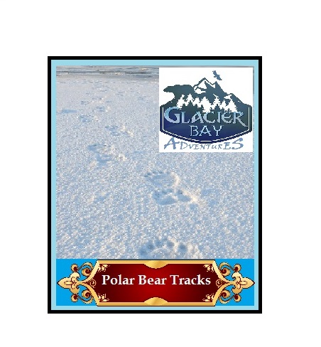 Bear Tracks Final