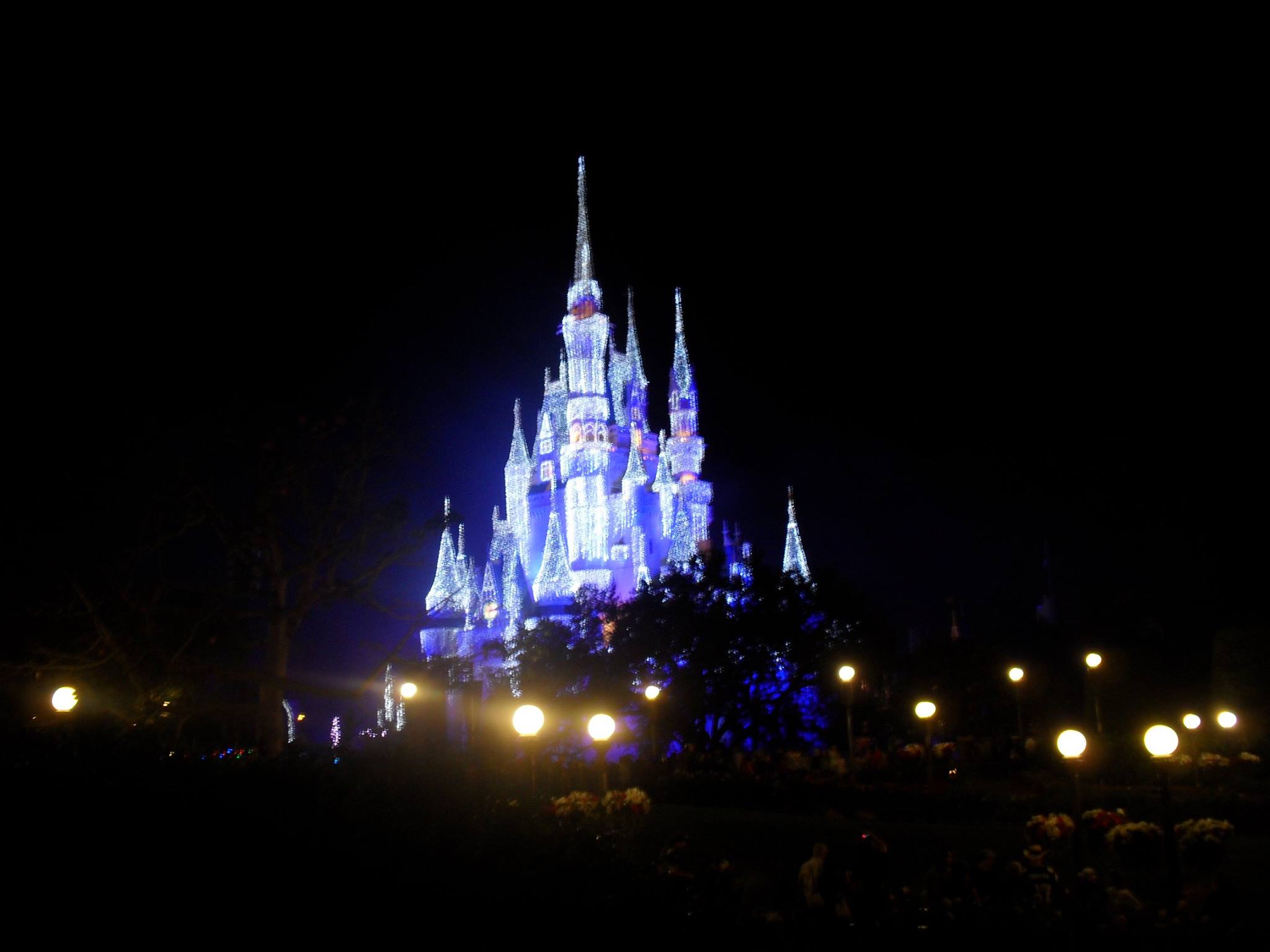 Cinderella Castle with Christmas Lights(2011)