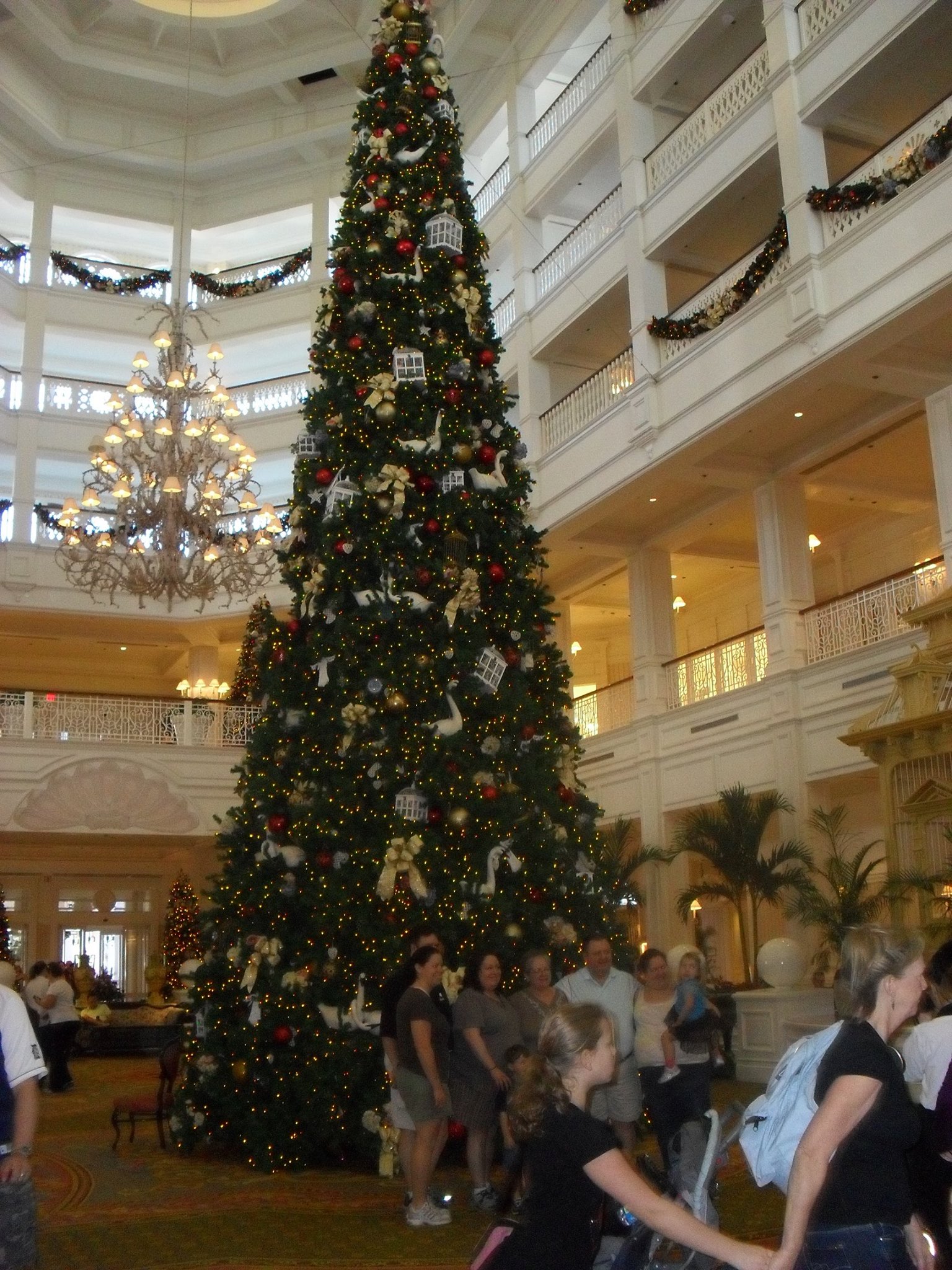 Grand Floridian Christmas Tree(2011)