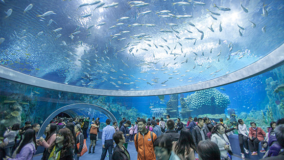 Largest-underwater-viewing-dome-main_tcm25-19943.jpg