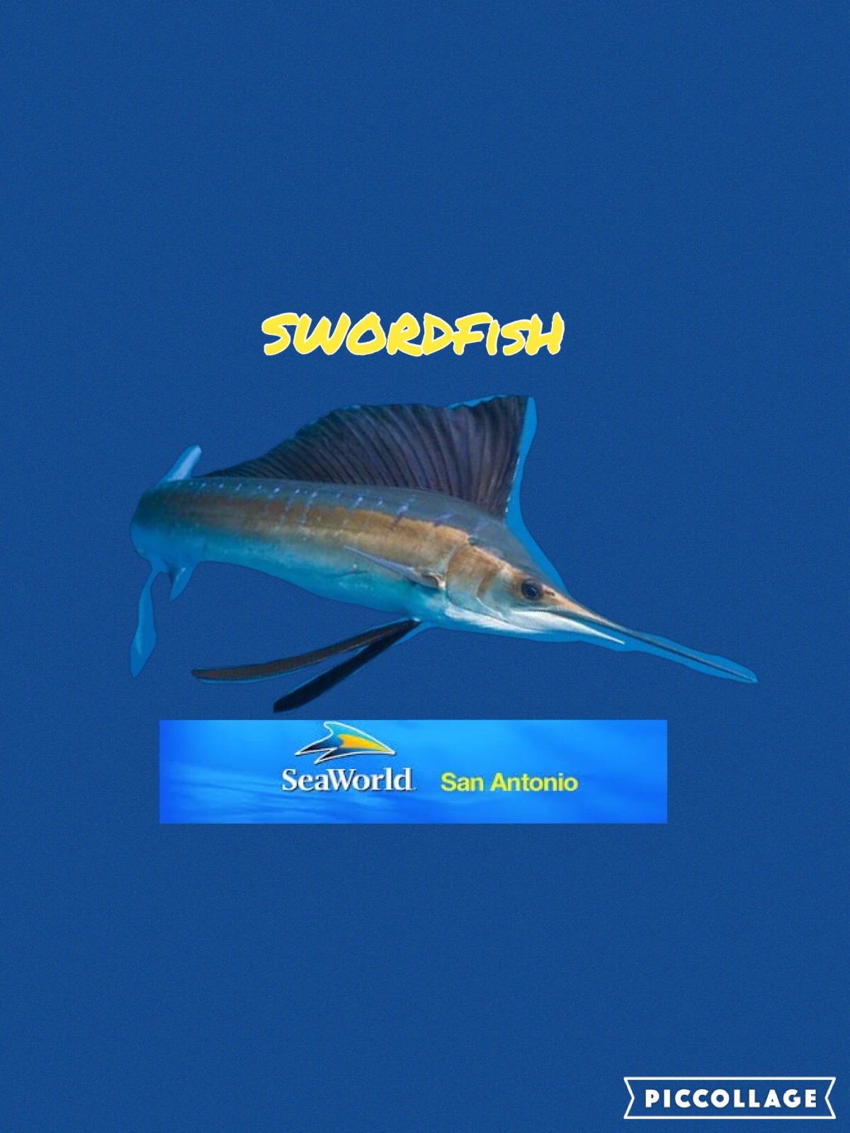 New Swordfish logo