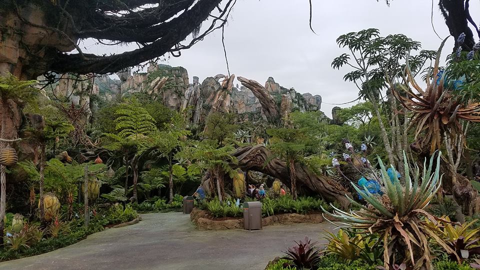 Pandora scenery