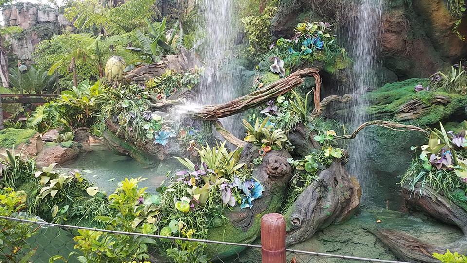 Pandora scenery